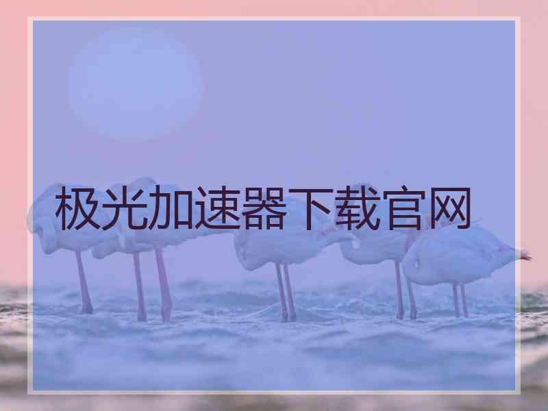 极光加速器下载官网