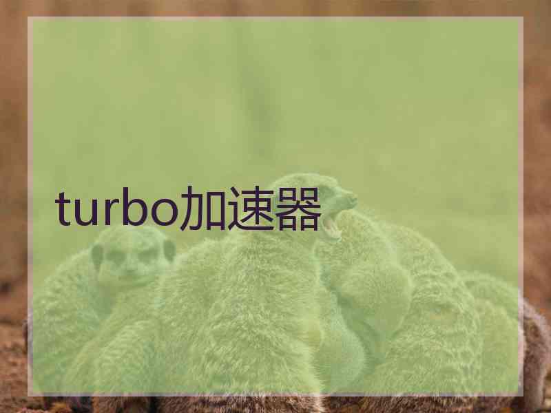 turbo加速器