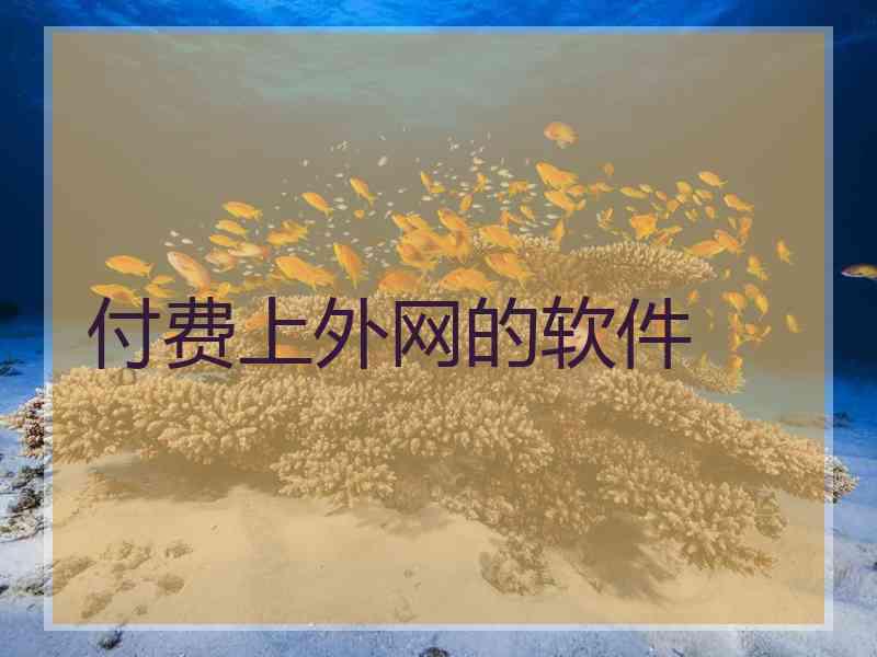 付费上外网的软件