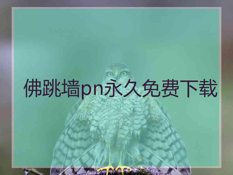 佛跳墙pn永久免费下载