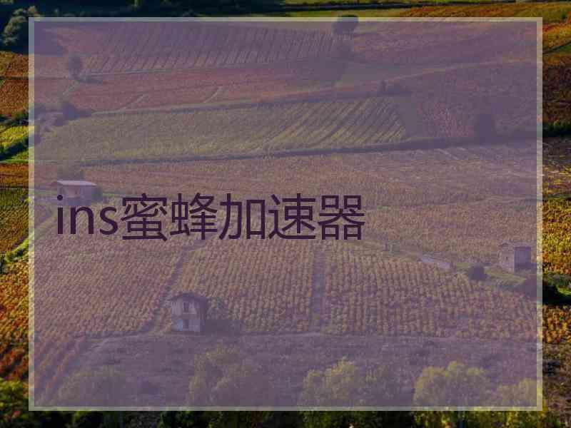 ins蜜蜂加速器