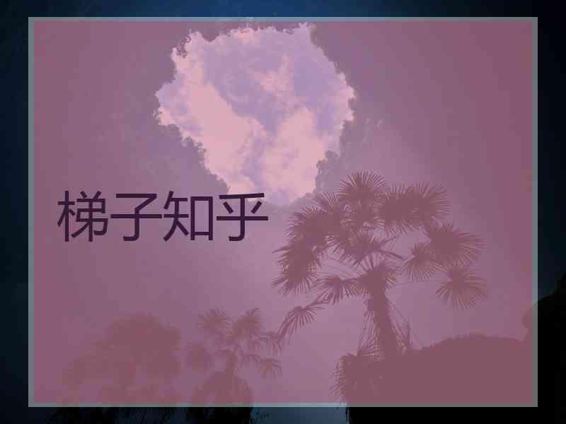 梯子知乎