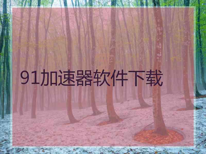 91加速器软件下载