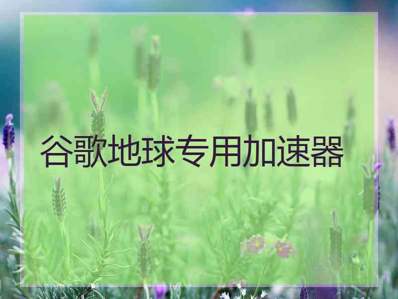 谷歌地球专用加速器