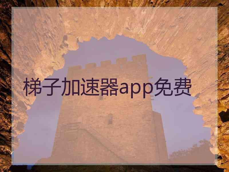梯子加速器app免费