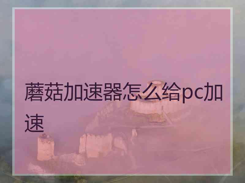 蘑菇加速器怎么给pc加速