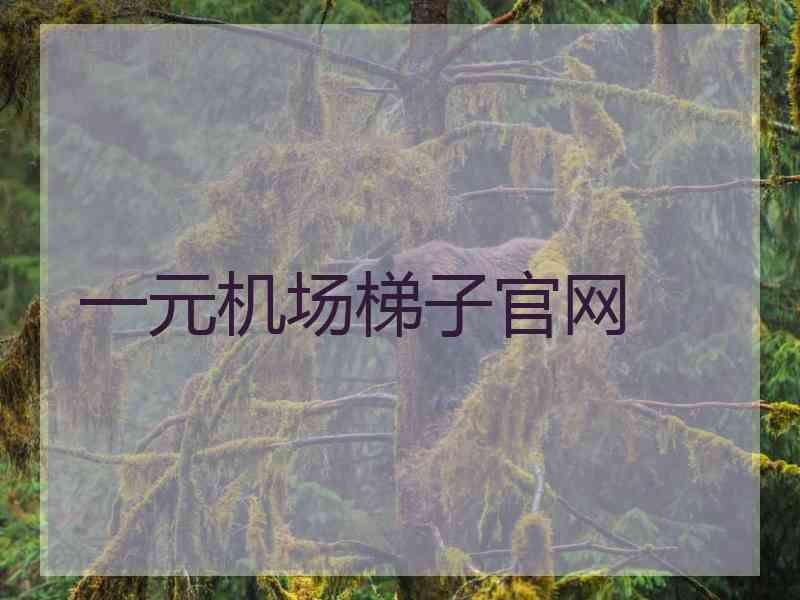 一元机场梯子官网