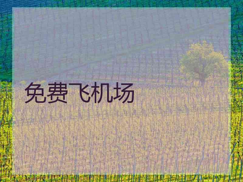 免费飞机场