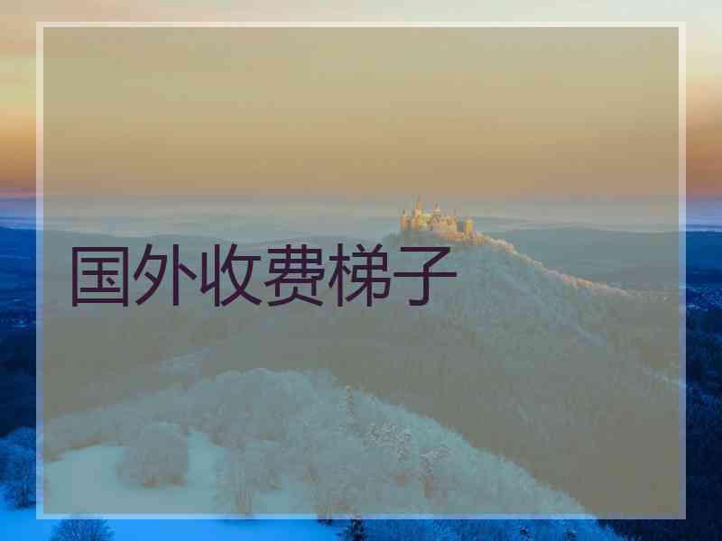 国外收费梯子