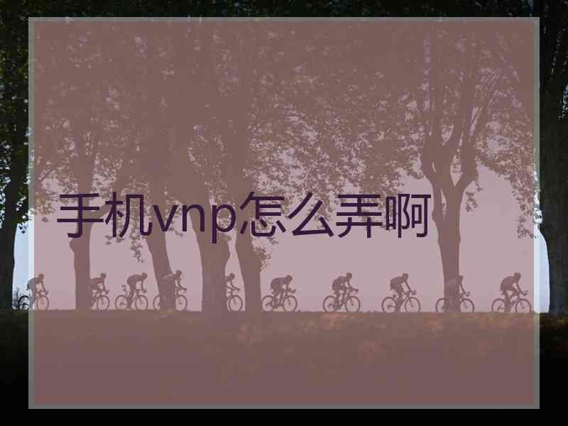 手机vnp怎么弄啊