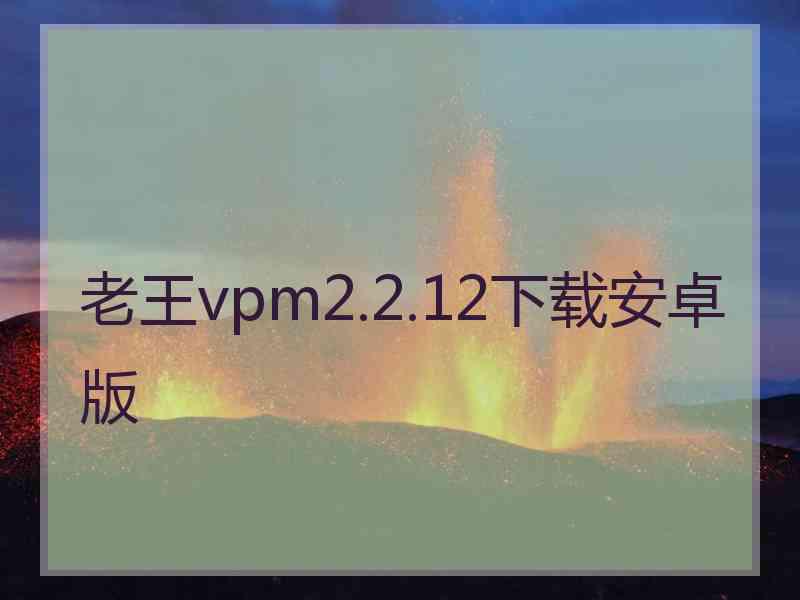 老王vpm2.2.12下载安卓版