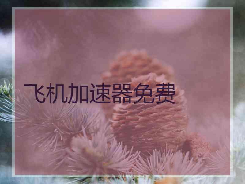 飞机加速器免费