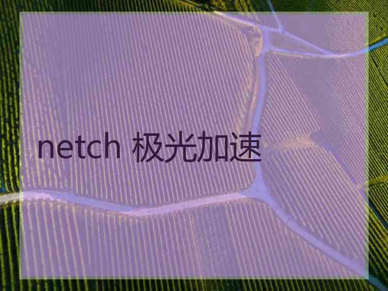netch 极光加速