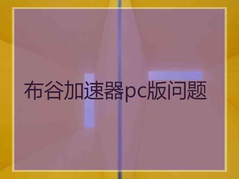 布谷加速器pc版问题