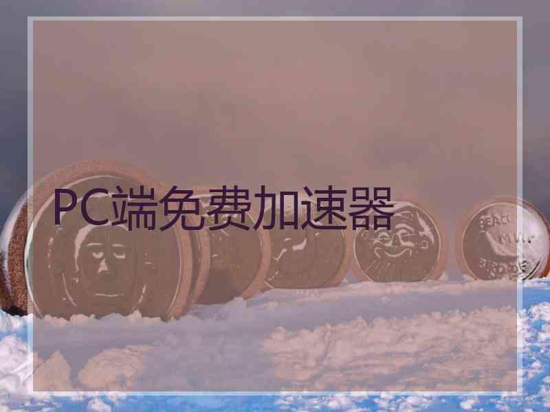 PC端免费加速器
