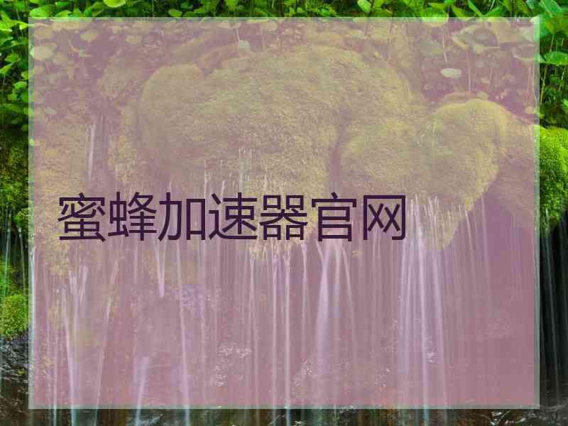 蜜蜂加速器官网