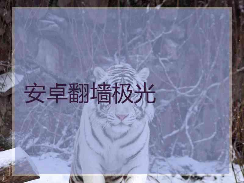 安卓翻墙极光