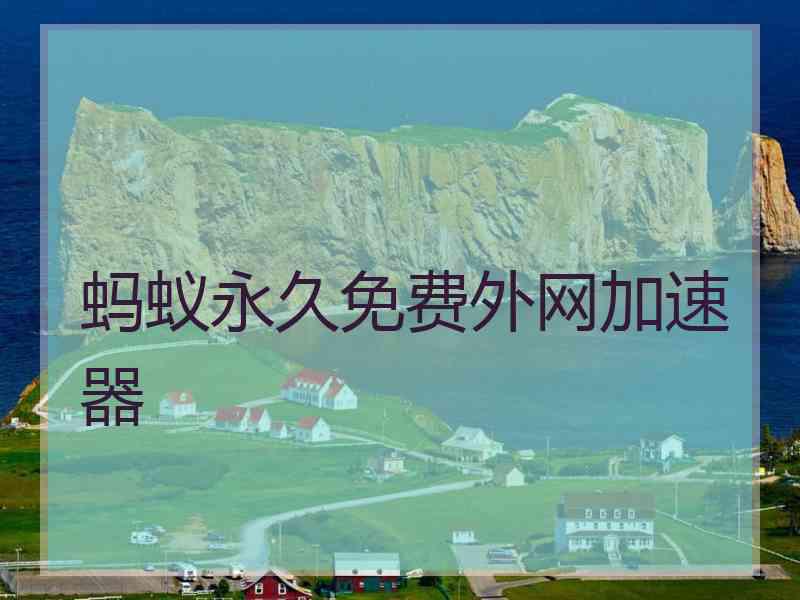蚂蚁永久免费外网加速器