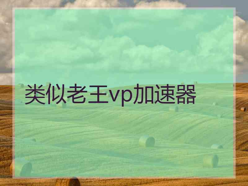 类似老王vp加速器