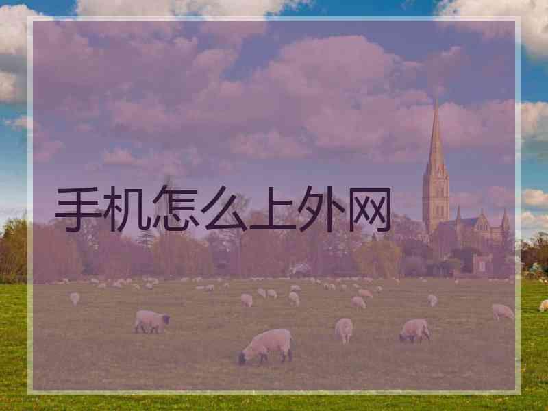 手机怎么上外网