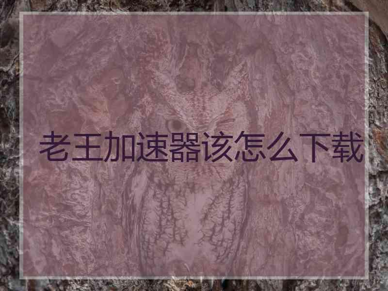 老王加速器该怎么下载