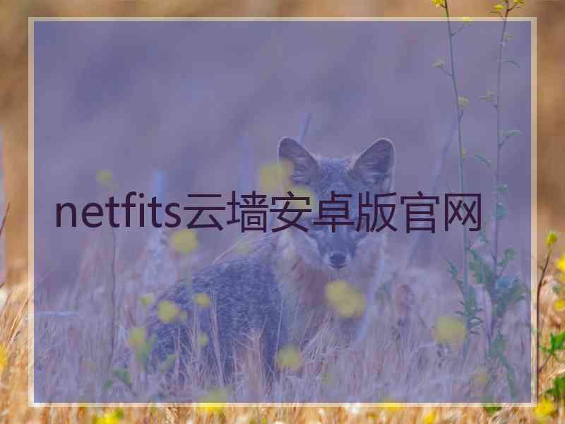 netfits云墙安卓版官网