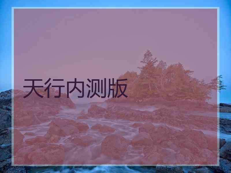 天行内测版