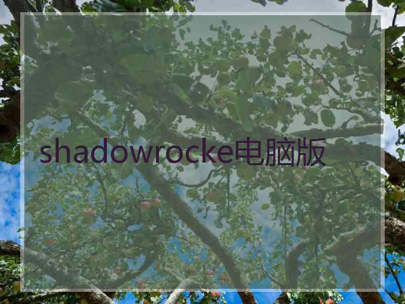 shadowrocke电脑版