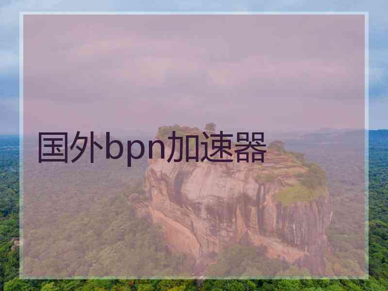 国外bpn加速器