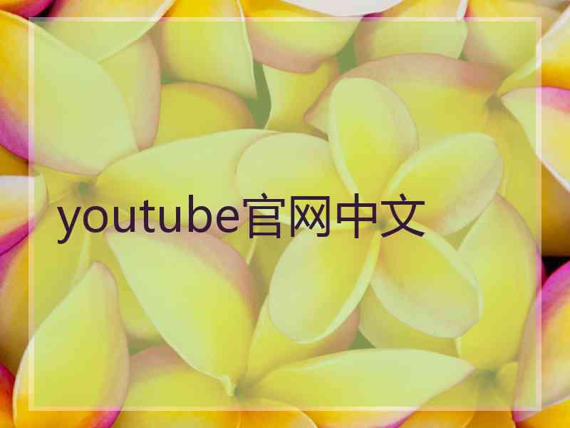 youtube官网中文