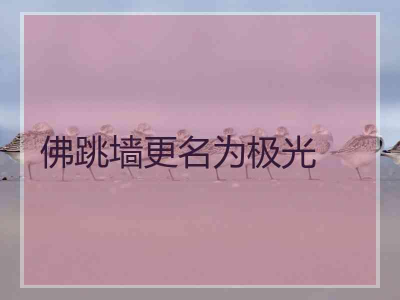 佛跳墙更名为极光