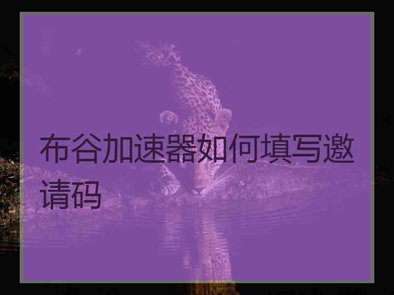 布谷加速器如何填写邀请码