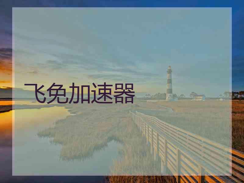 飞免加速器