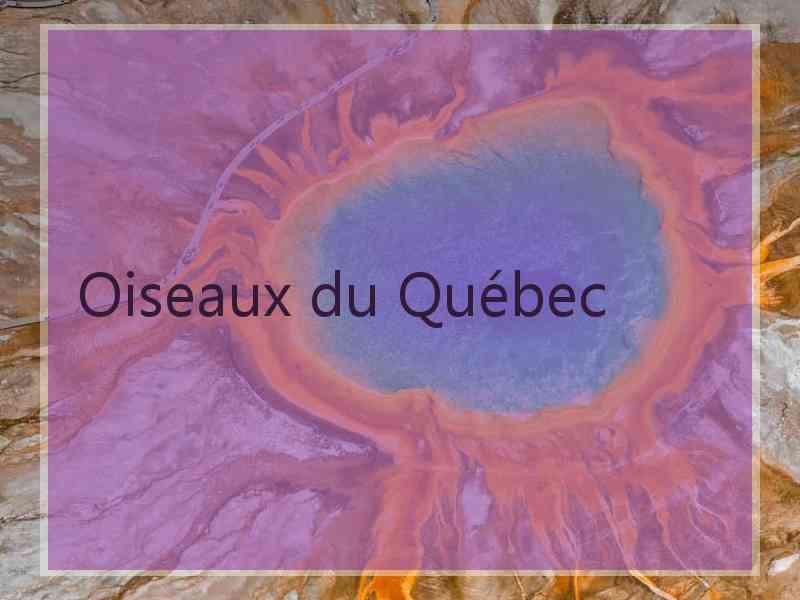 Oiseaux du Québec