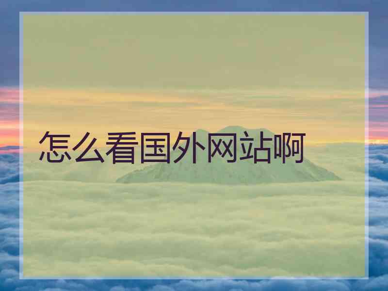 怎么看国外网站啊