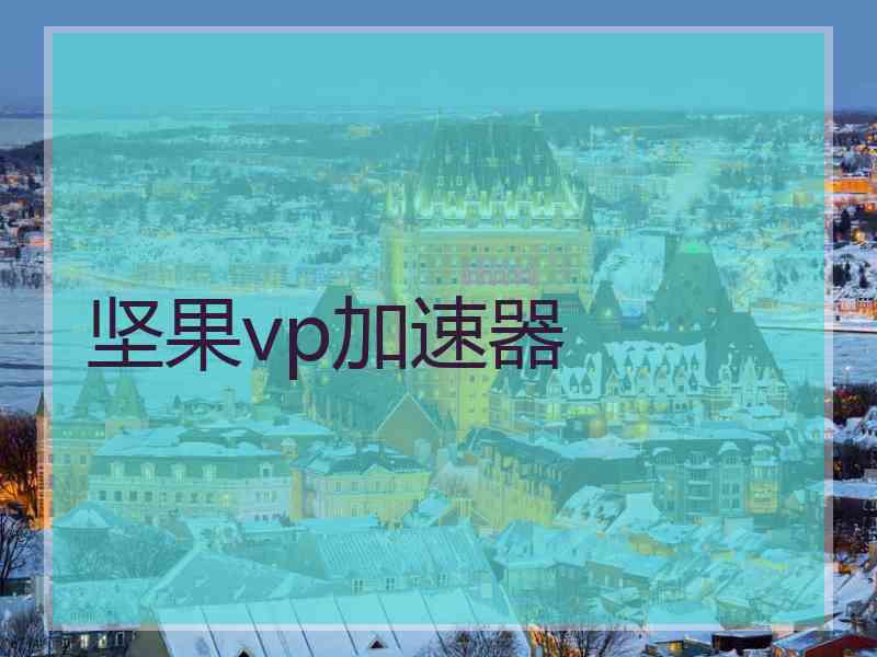 坚果vp加速器