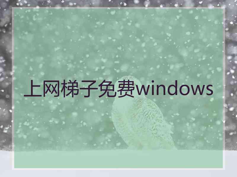 上网梯子免费windows