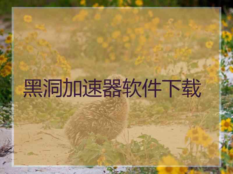 黑洞加速器软件下载