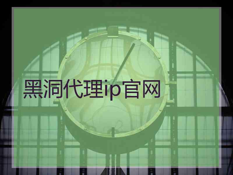 黑洞代理ip官网