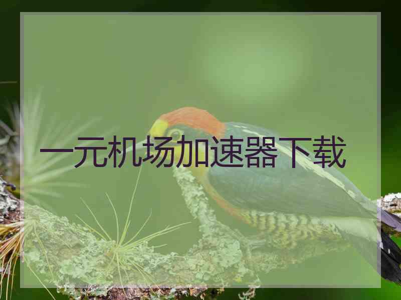 一元机场加速器下载