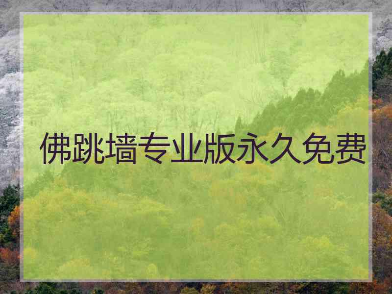 佛跳墙专业版永久免费
