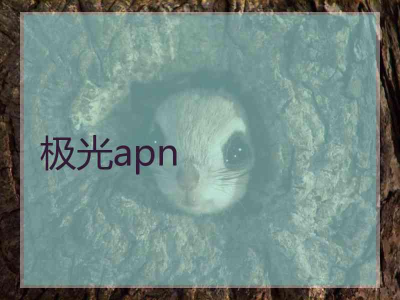 极光apn