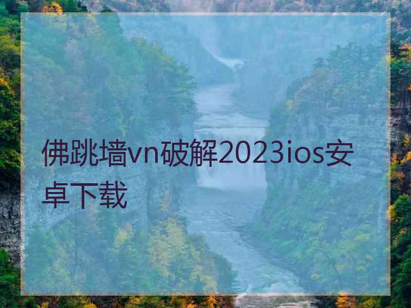 佛跳墙vn破解2023ios安卓下载