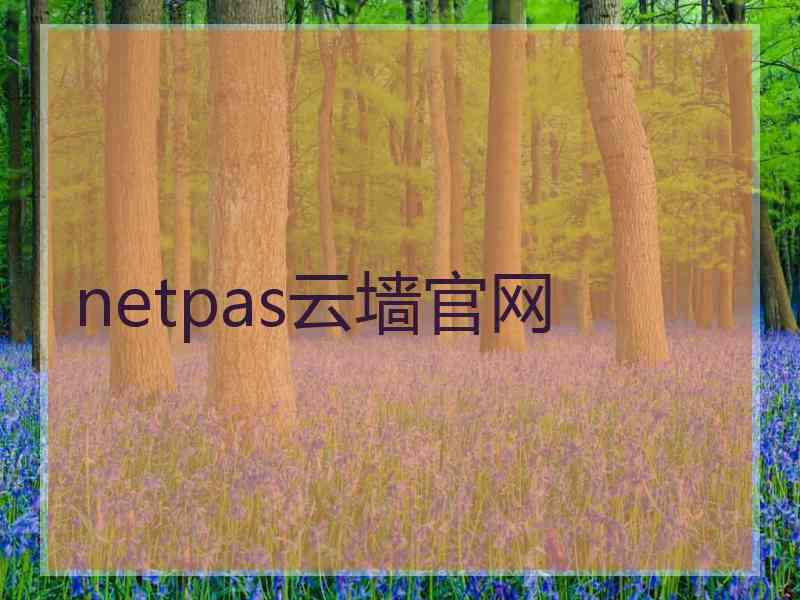 netpas云墙官网