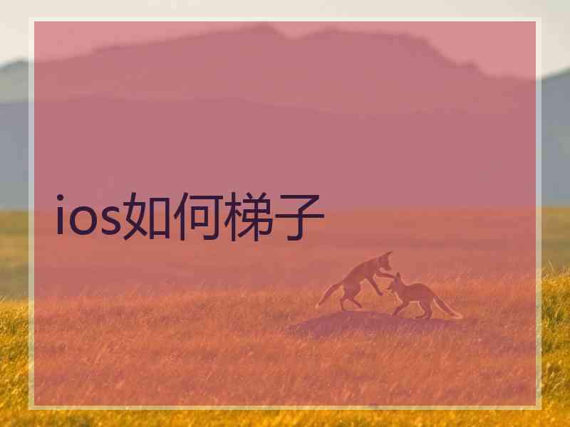 ios如何梯子