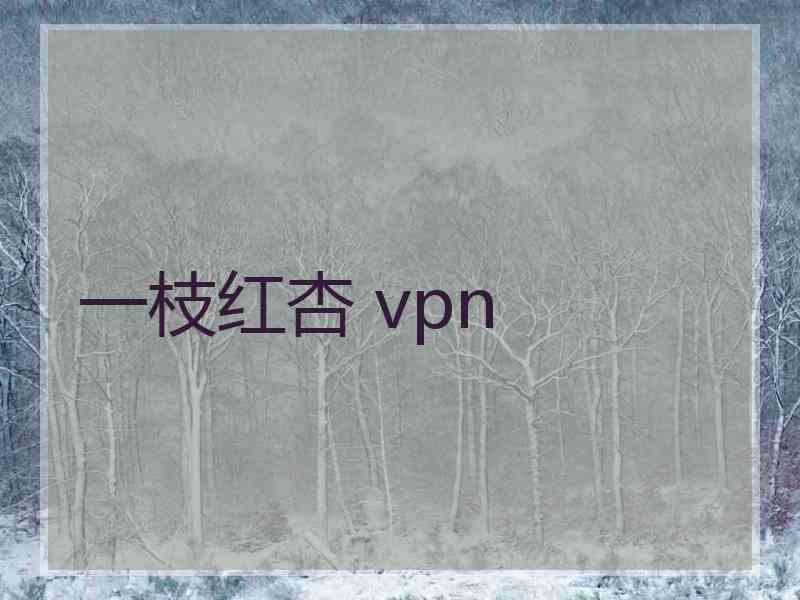 一枝红杏 vpn