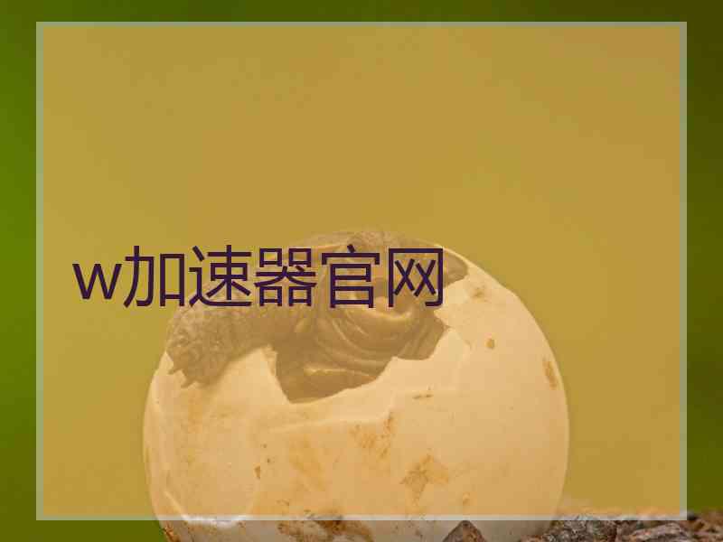 w加速器官网