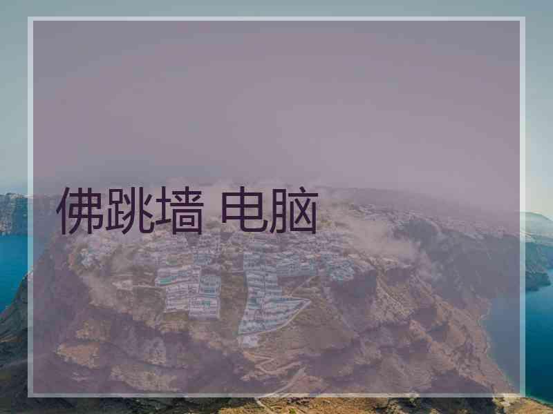 佛跳墙 电脑
