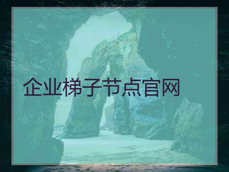 企业梯子节点官网
