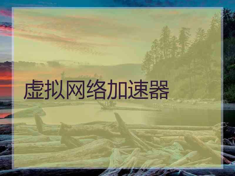 虚拟网络加速器